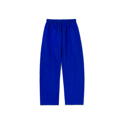 26' COMP LITE [BLUE]
